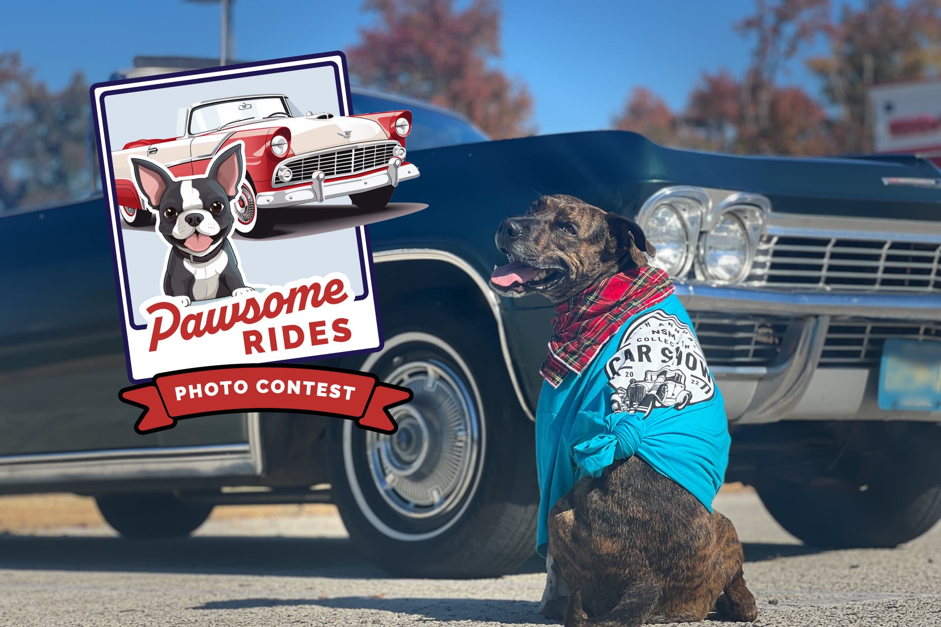 Pawsome Rides Pet Photo Contest