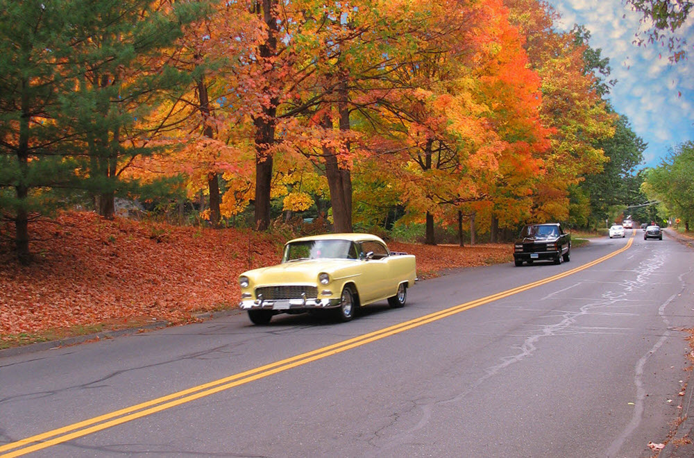 Fall Leaves Classic Car Insurance Eligibility